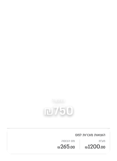 PayPlus mobile card overlay