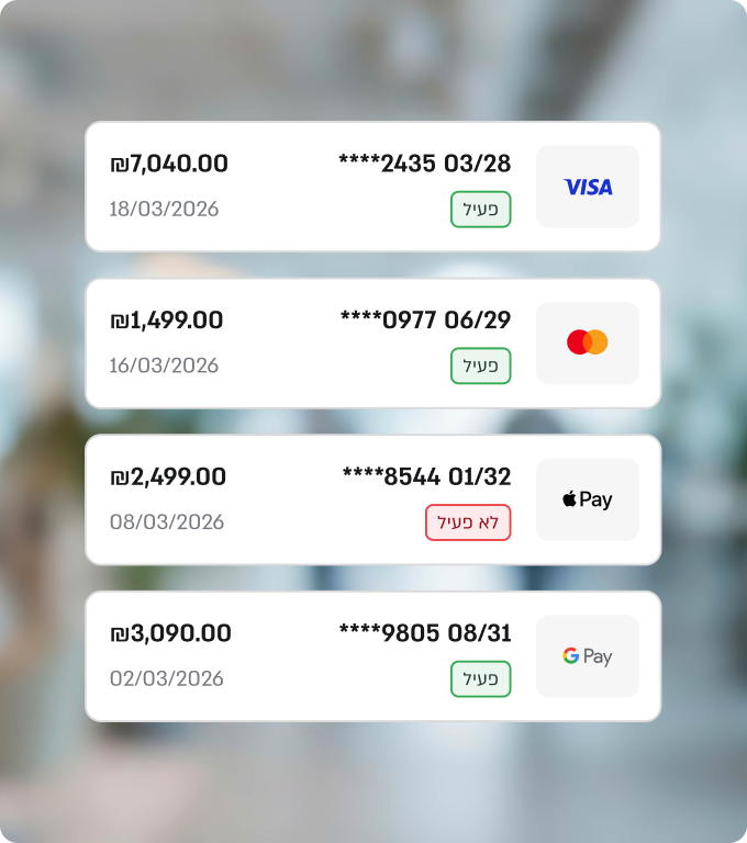 PayPlus mobile app instructions